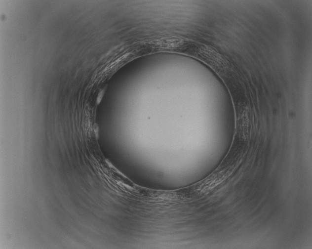 X0000057101058200509301611