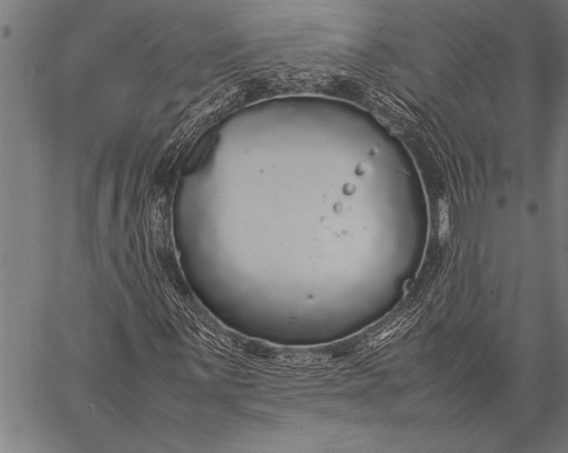 X0000057101059200509301611