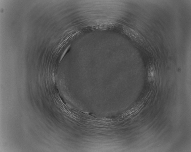 X0000057101060200509301611