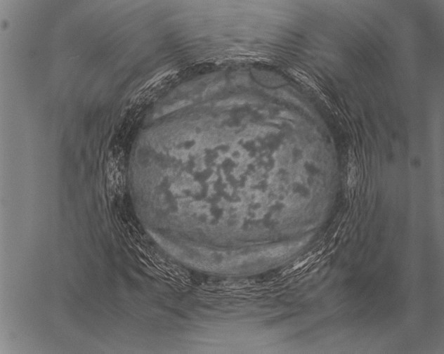 X0000057101063200509301611