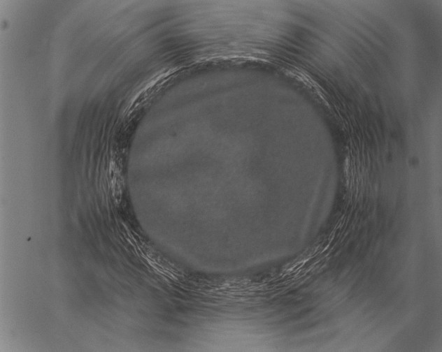 X0000057101064200509301611