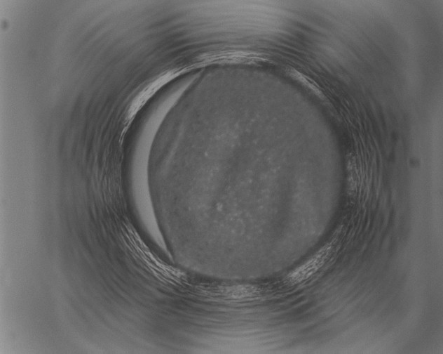 X0000057101066200509301611