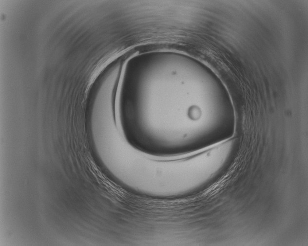 X0000057101069200509301611