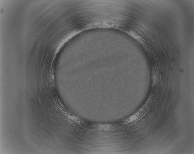 X0000057101070200509301611