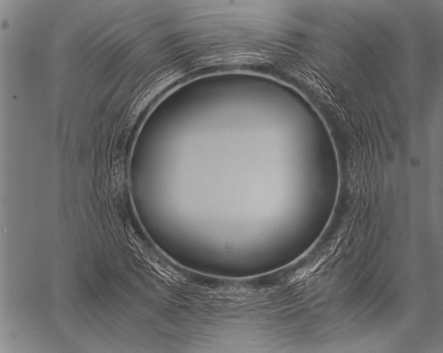 X0000057101073200509301611