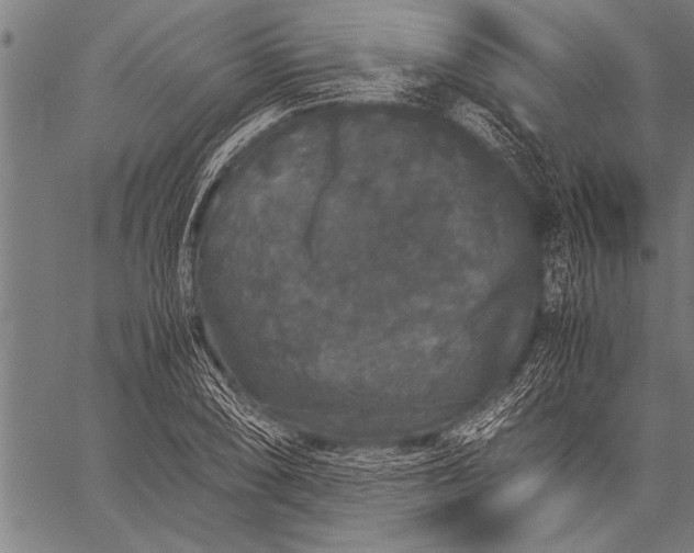 X0000057101074200509301611