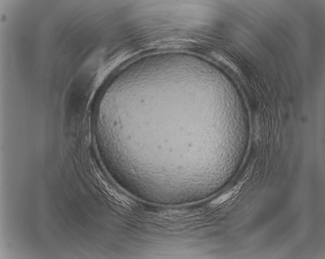 X0000057101075200509301611