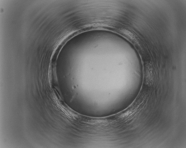 X0000057101076200509301611