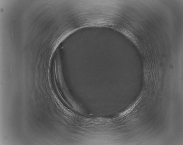 X0000057101077200509301611