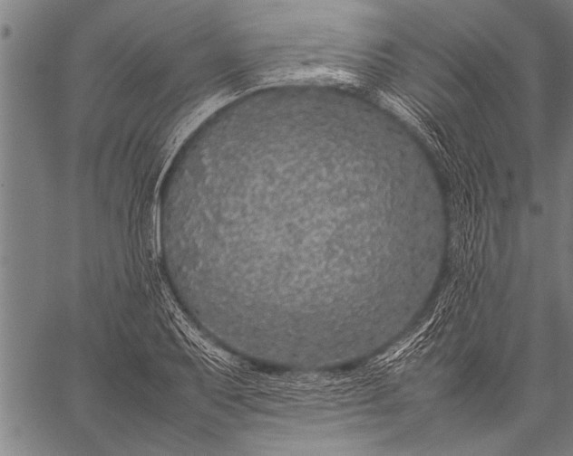 X0000057101079200509301611