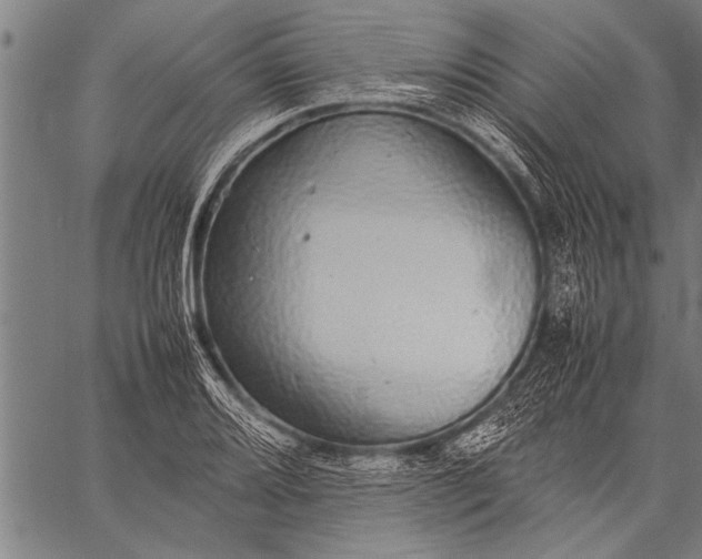 X0000057101080200509301611