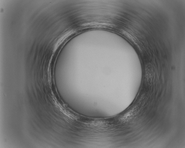 X0000057101082200509301611