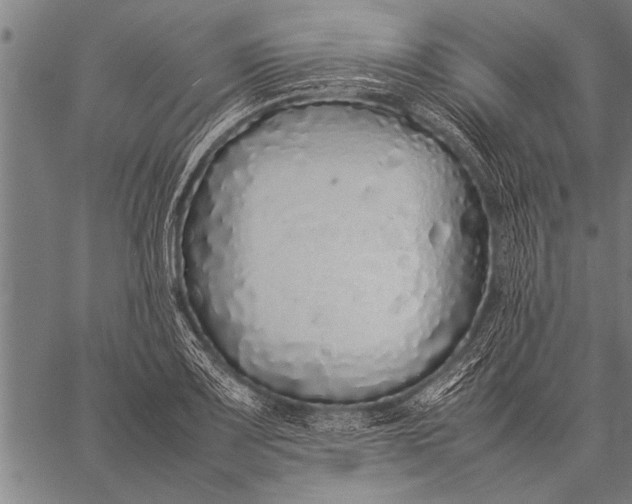 X0000057101083200509301611