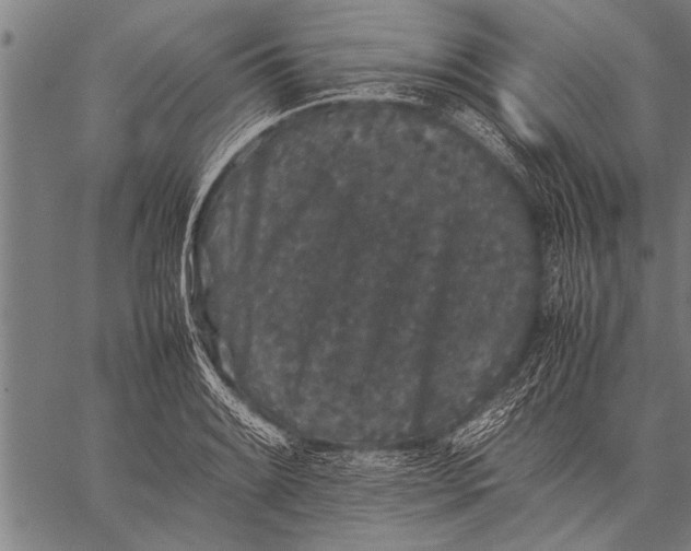 X0000057101084200509301611