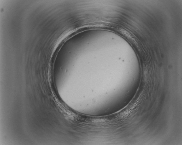 X0000057101085200509301611