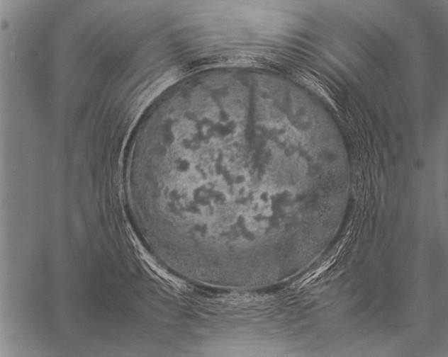 X0000057101087200509301611