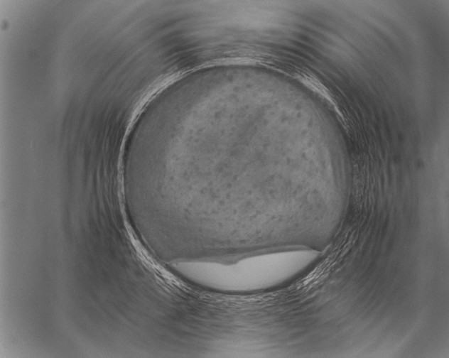 X0000057101088200509301611