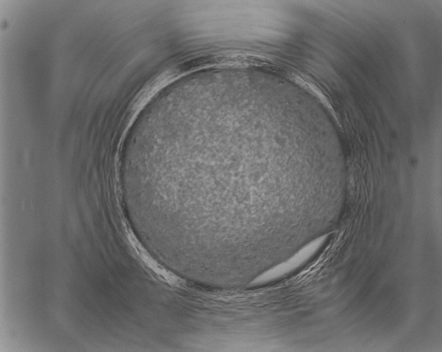 X0000057101091200509301610