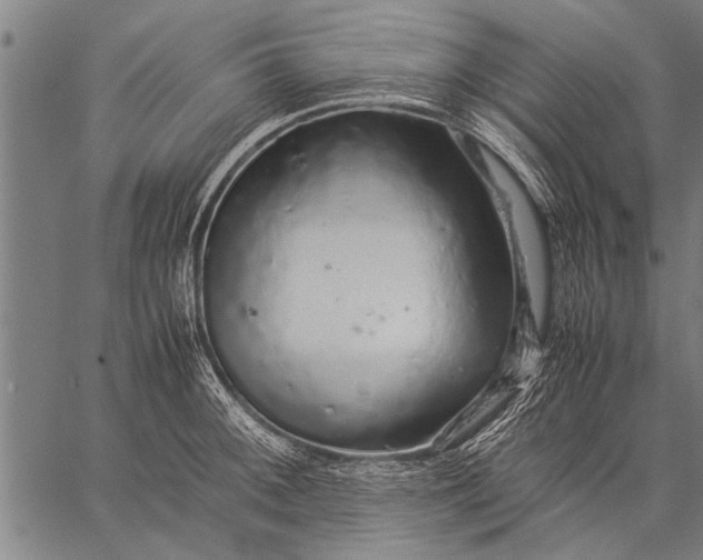 X0000057101092200509301610