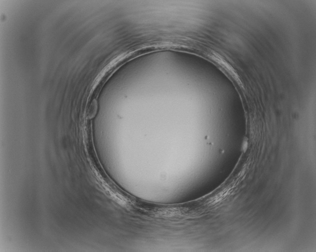 X0000057101093200509301610