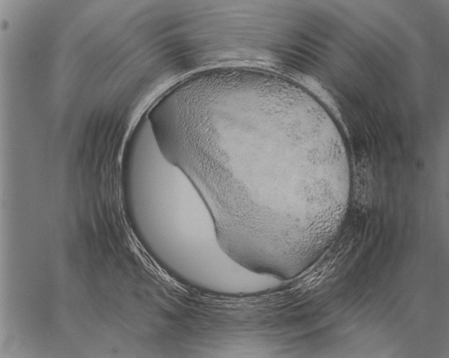 X0000057101096200509301610