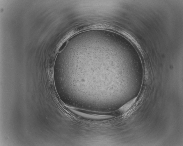 X0000057101097200509301610