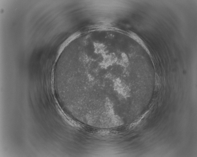 X0000057101098200509301610