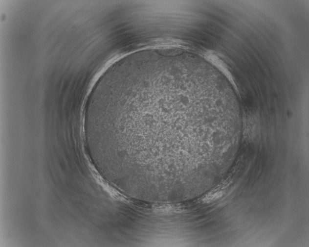 X0000057101099200509301610