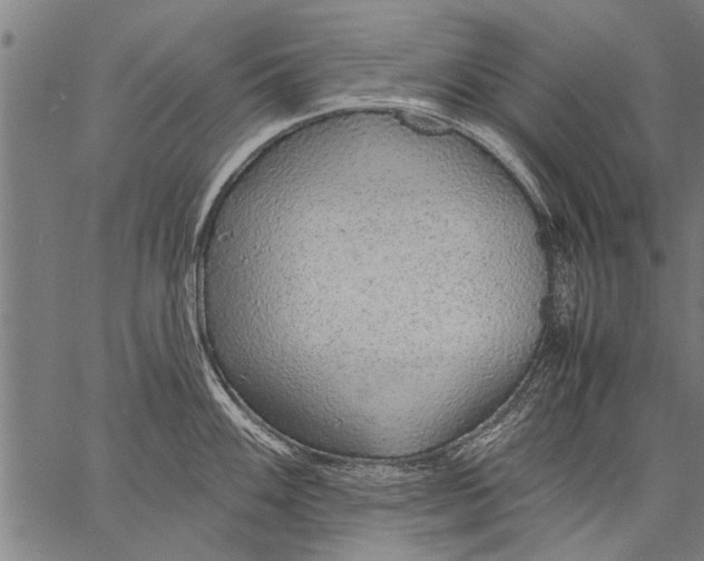 X0000057101100200509301610