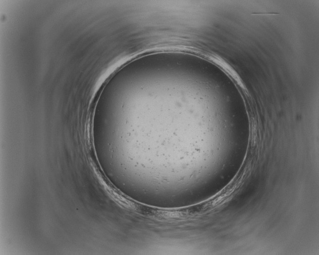 X0000057101101200509301610