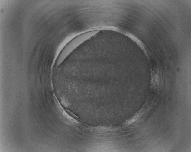 X0000057101102200509301610