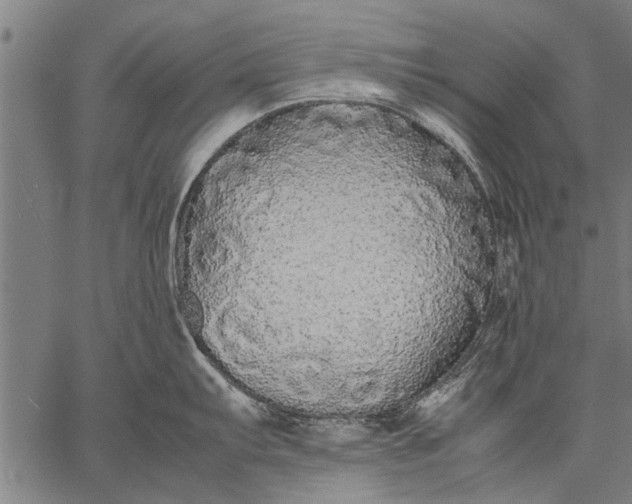 X0000057101103200509301610