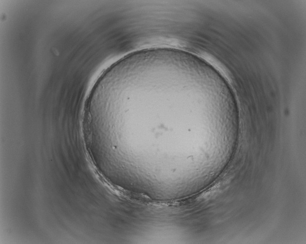 X0000057101104200509301610