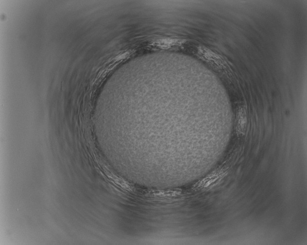 X0000057101105200509301609