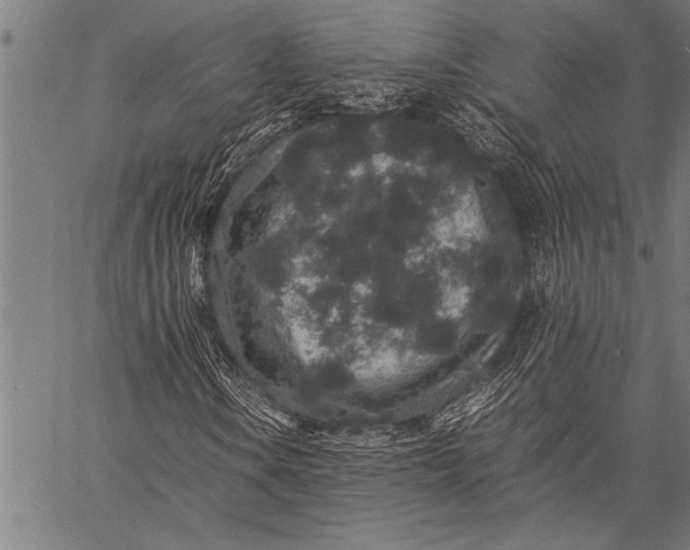 X0000057101106200509301609