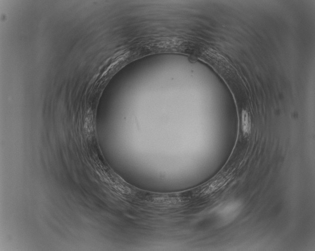 X0000057101107200509301609