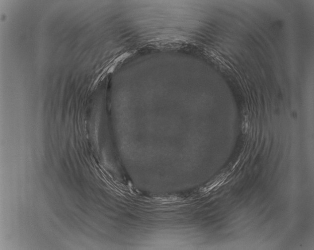 X0000057101108200509301609