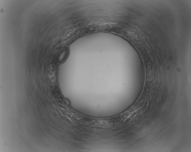 X0000057101109200509301609