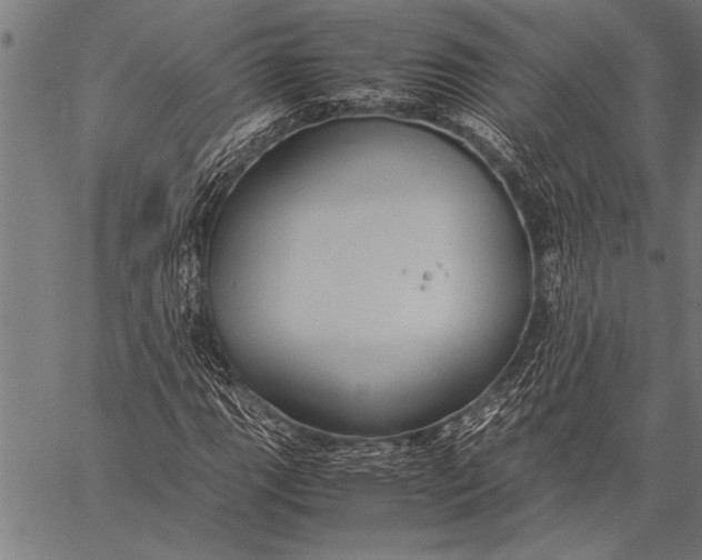 X0000057101111200509301609