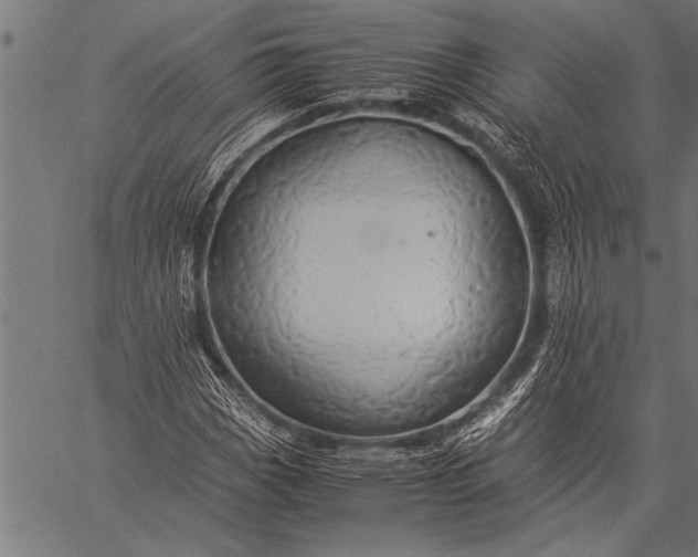 X0000057101113200509301609