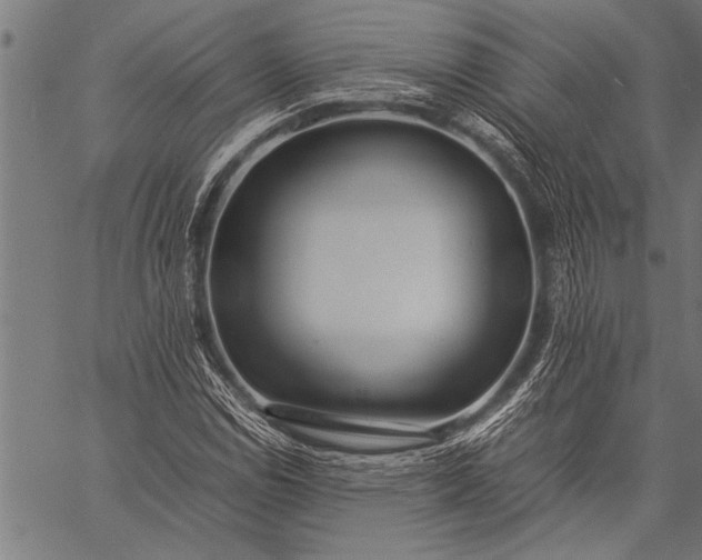 X0000057101114200509301610