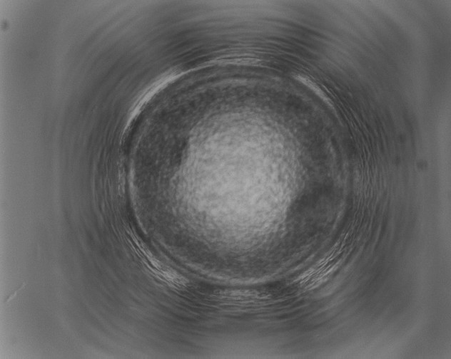 X0000057101115200509301610