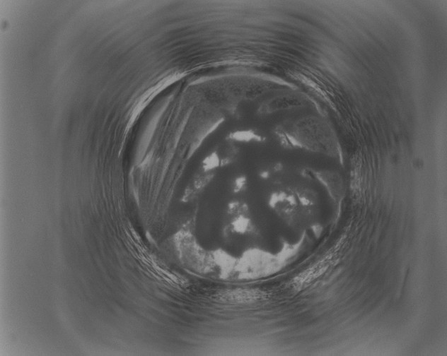 X0000057101117200509301610