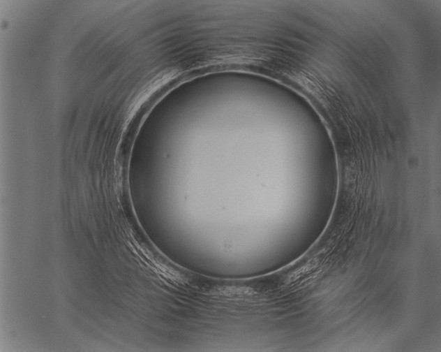 X0000057101119200509301610