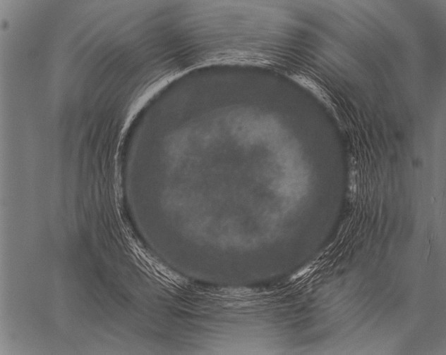 X0000057101120200509301610