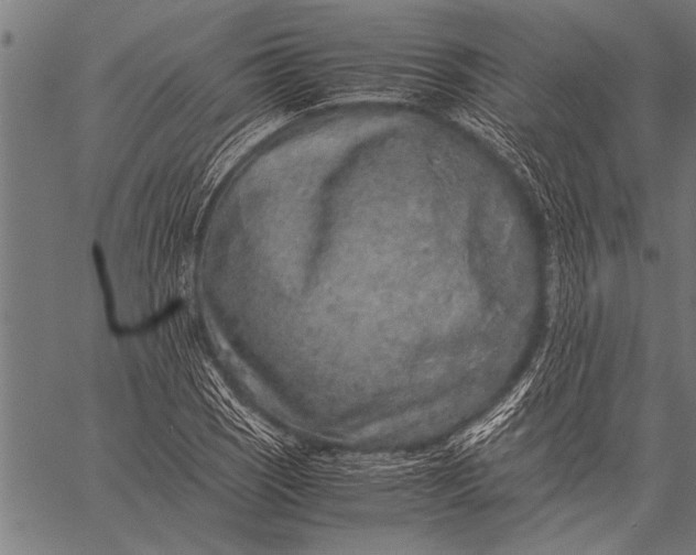 X0000057101121200509301610