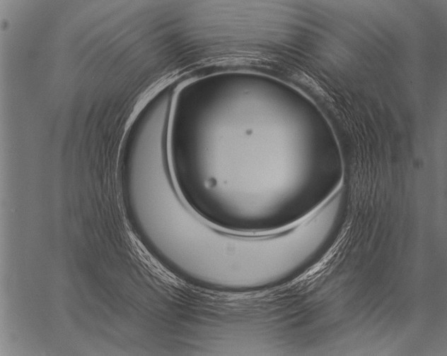 X0000057101122200509301610