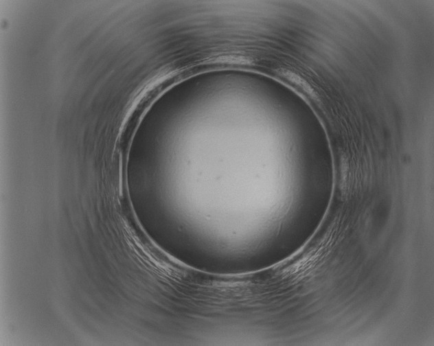 X0000057101123200509301610