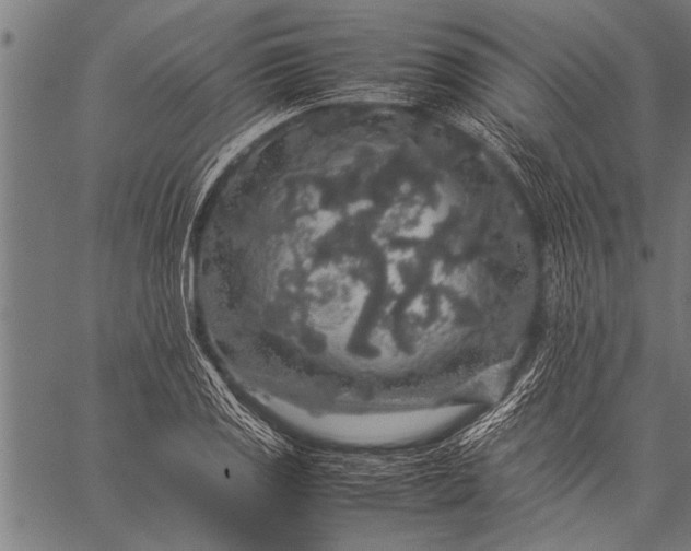 X0000057101125200509301610