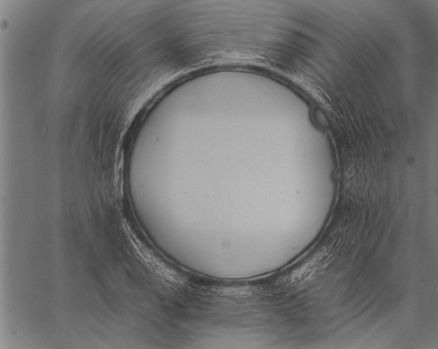 X0000057101126200509301610